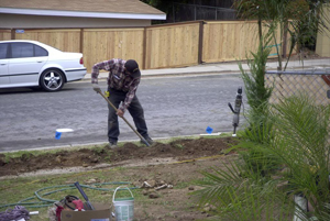 Mike, one of our Ajax sprinkler repair pros, is clearing the trench for a new system installation