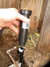 a Pickering irrigation repair pro is replacing sprinkler head